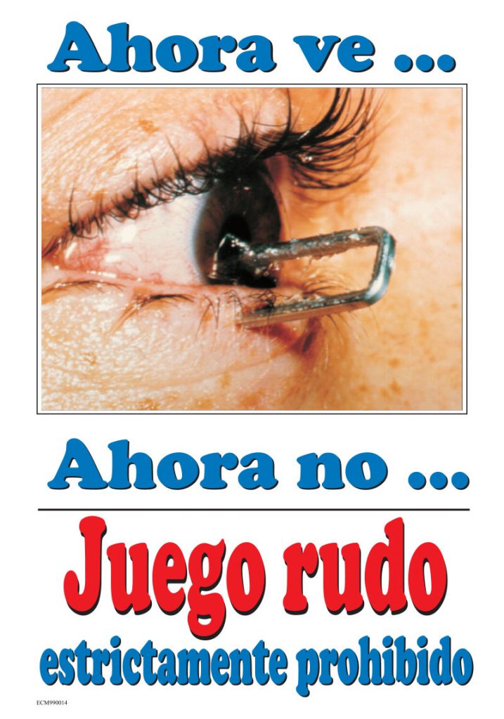 Ladder Safety (Spanish) Employer's Claim Management, Inc.